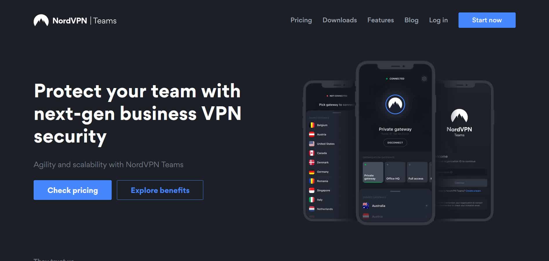 business vpn solution for mac cost
